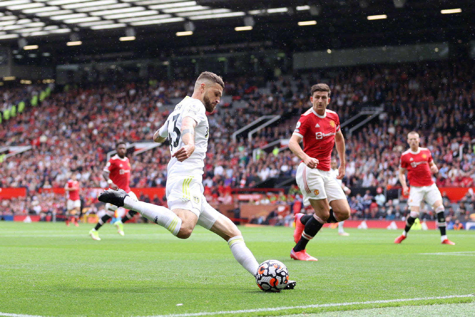 引发了众多 引发了众多