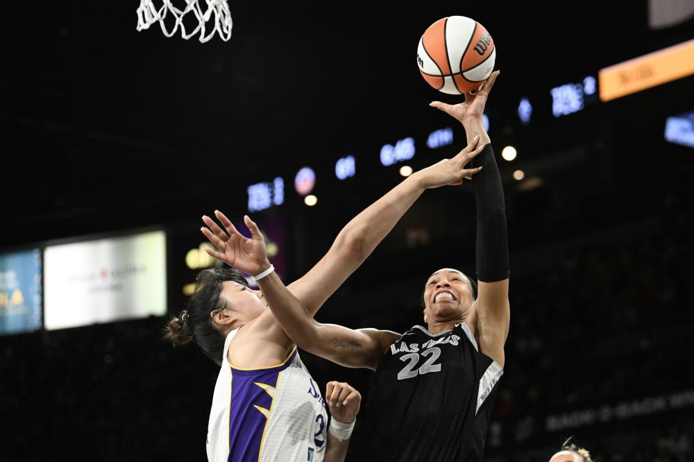 巅延续统治 巅延续统治